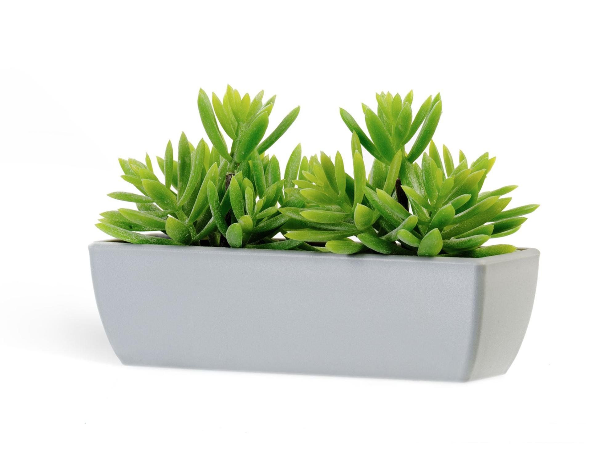 Статьи фото №13