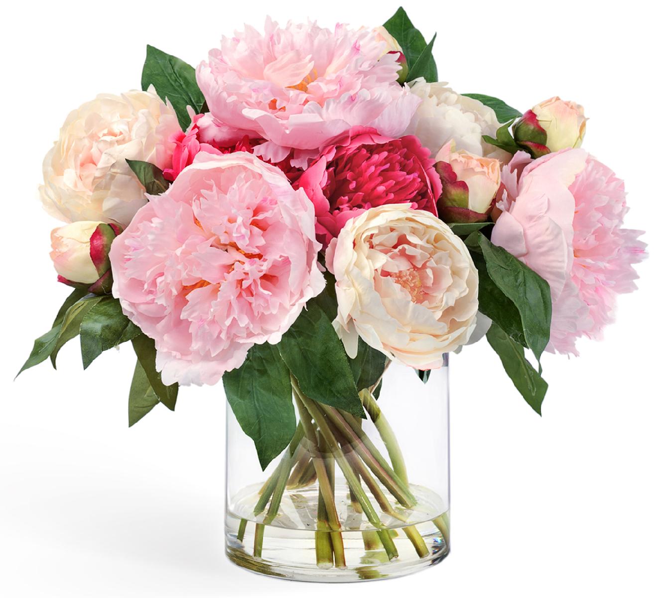 Как ухаживать за комнатными растениями: полезные советы