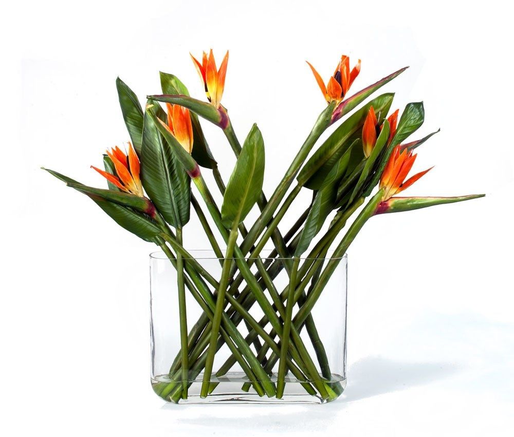 Статьи фото №21