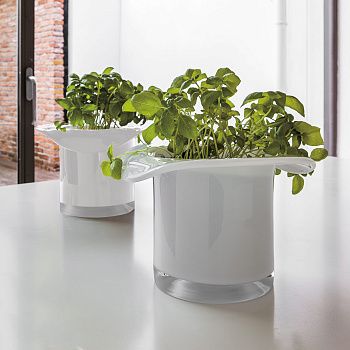 Adriani & Rossi Ваза Cabaret C126 BI