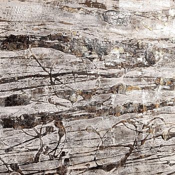 Картина  Каракули R46703