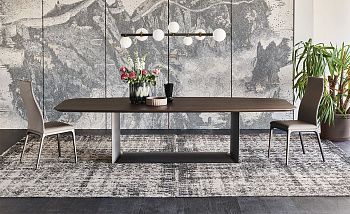 Стол Dragon Wood