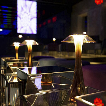 Настольная лампа Space 9220/RR