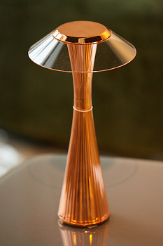 Настольная лампа Space 9220/RR