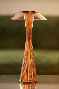 Настольная лампа Space 9220/RR