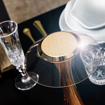 Настольная лампа Space 9220/RR