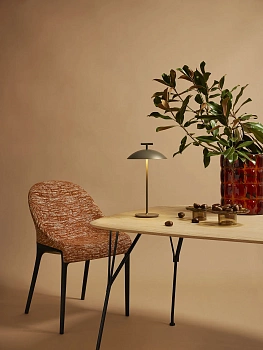 Настольная лампа Mini Geen-A 9720/09